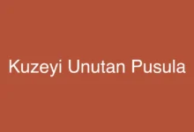 Kuzeyi Unutan Pusula