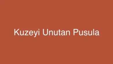 Kuzeyi Unutan Pusula
