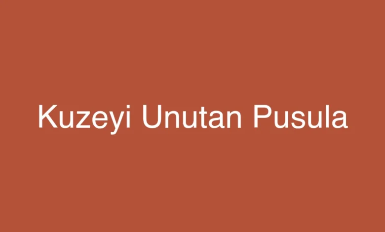 Kuzeyi Unutan Pusula