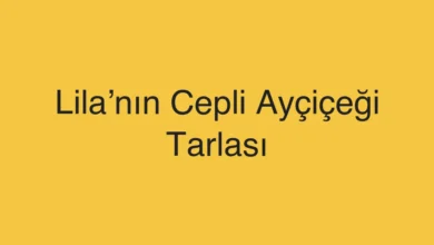 Lila’nın Cepli Ayçiçeği Tarlası