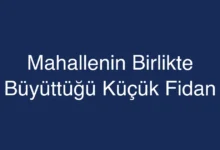 Mahallenin Birlikte Büyüttüğü Küçük Fidan