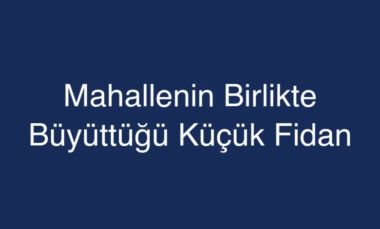 Mahallenin Birlikte Büyüttüğü Küçük Fidan