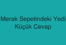 Merak Sepetindeki Yedi Küçük Cevap