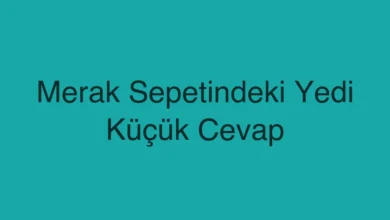 Merak Sepetindeki Yedi Küçük Cevap