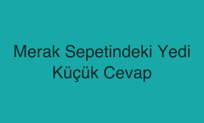 Merak Sepetindeki Yedi Küçük Cevap