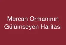 Mercan Ormanının Gülümseyen Haritası