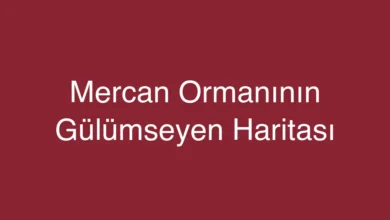 Mercan Ormanının Gülümseyen Haritası