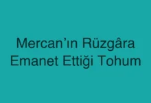 Mercan’ın Rüzgâra Emanet Ettiği Tohum
