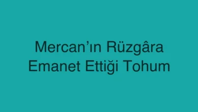 Mercan’ın Rüzgâra Emanet Ettiği Tohum