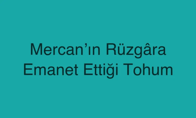 Mercan’ın Rüzgâra Emanet Ettiği Tohum