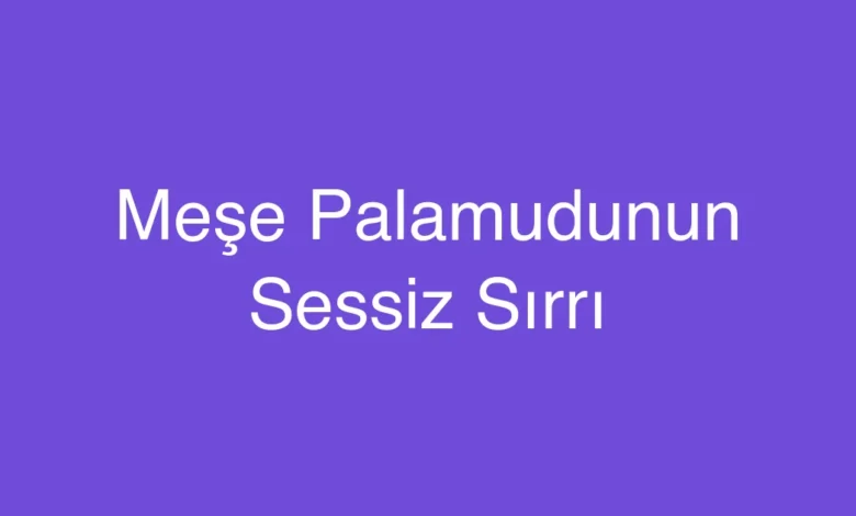 Meşe Palamudunun Sessiz Sırrı