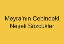 Meyra’nın Cebindeki Neşeli Sözcükler