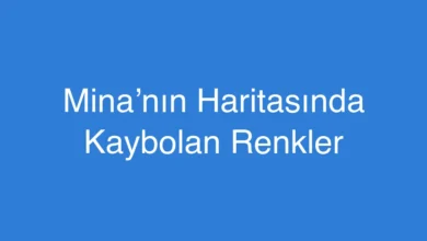 Mina’nın Haritasında Kaybolan Renkler