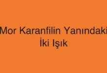 Mor Karanfilin Yanındaki İki Işık
