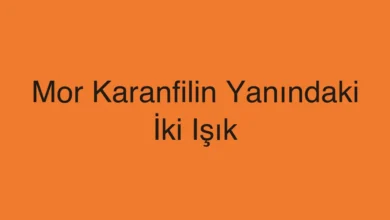 Mor Karanfilin Yanındaki İki Işık