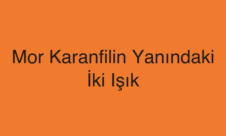 Mor Karanfilin Yanındaki İki Işık