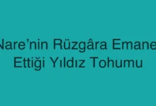 Nare’nin Rüzgâra Emanet Ettiği Yıldız Tohumu