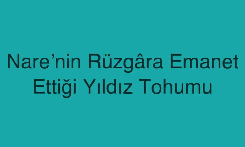 Nare’nin Rüzgâra Emanet Ettiği Yıldız Tohumu