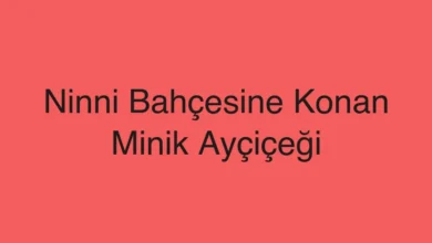Ninni Bahçesine Konan Minik Ayçiçeği