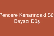 Pencere Kenarındaki Süt Beyazı Düş