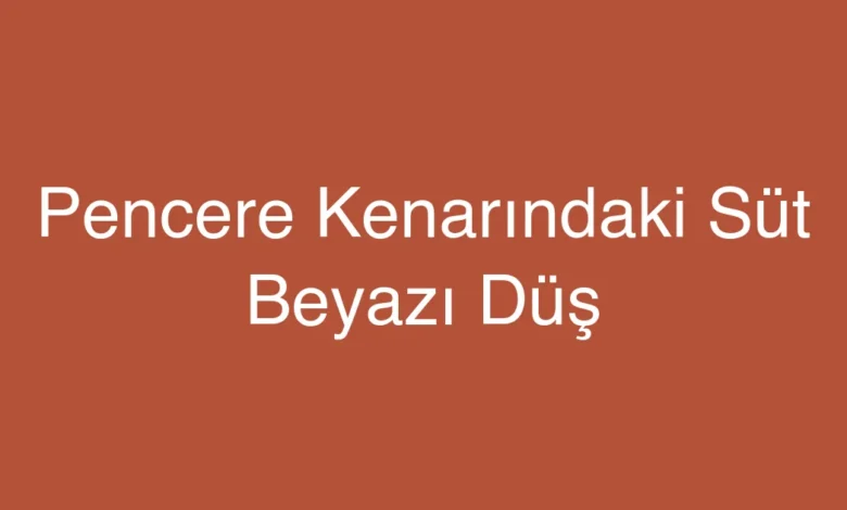 Pencere Kenarındaki Süt Beyazı Düş