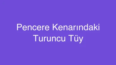 Pencere Kenarındaki Turuncu Tüy