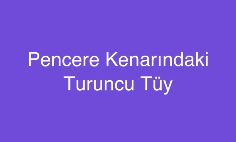 Pencere Kenarındaki Turuncu Tüy