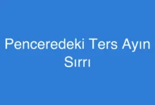 Penceredeki Ters Ayın Sırrı