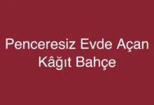 Penceresiz Evde Açan Kâğıt Bahçe