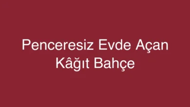 Penceresiz Evde Açan Kâğıt Bahçe