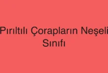 Pırıltılı Çorapların Neşeli Sınıfı