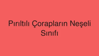 Pırıltılı Çorapların Neşeli Sınıfı