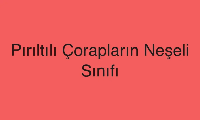 Pırıltılı Çorapların Neşeli Sınıfı