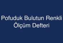 Pofuduk Bulutun Renkli Ölçüm Defteri