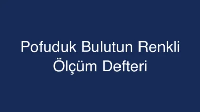 Pofuduk Bulutun Renkli Ölçüm Defteri