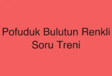 Pofuduk Bulutun Renkli Soru Treni