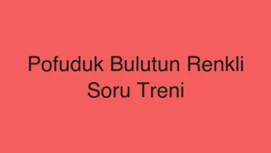 Pofuduk Bulutun Renkli Soru Treni