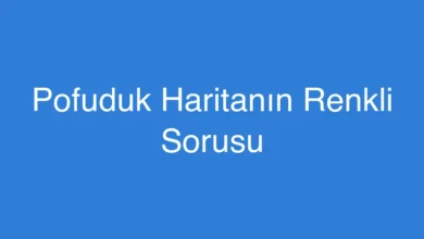 Pofuduk Haritanın Renkli Sorusu