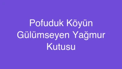 Pofuduk Köyün Gülümseyen Yağmur Kutusu