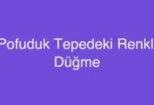 Pofuduk Tepedeki Renkli Düğme