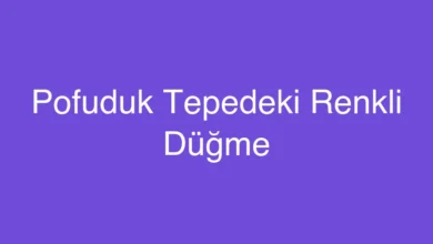 Pofuduk Tepedeki Renkli Düğme