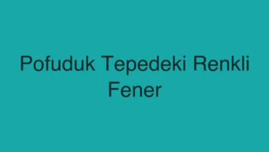 Pofuduk Tepedeki Renkli Fener