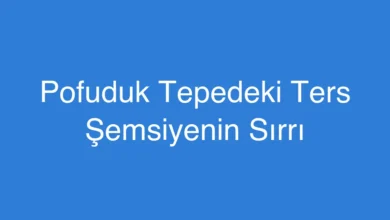 Pofuduk Tepedeki Ters Şemsiyenin Sırrı