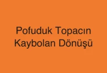 Pofuduk Topacın Kaybolan Dönüşü