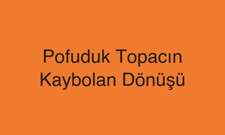 Pofuduk Topacın Kaybolan Dönüşü