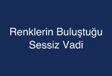 Renklerin Buluştuğu Sessiz Vadi