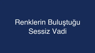 Renklerin Buluştuğu Sessiz Vadi