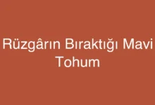 Rüzgârın Bıraktığı Mavi Tohum