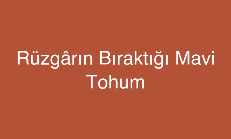 Rüzgârın Bıraktığı Mavi Tohum