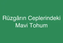 Rüzgârın Ceplerindeki Mavi Tohum